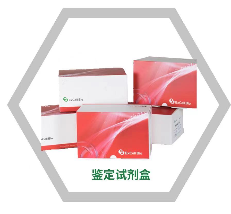 苏州依科赛生物科技股份有限公司